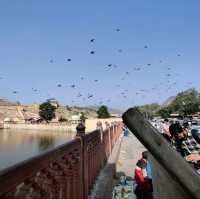 Another day at the Magnificent Amer Fort 