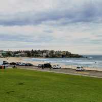 bondi beach