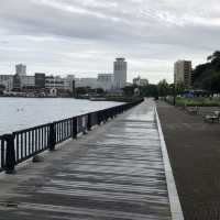 【横須賀】これっきりですか。