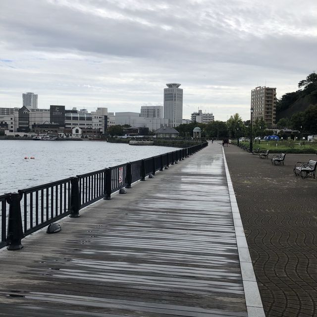 【横須賀】これっきりですか。