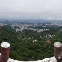 滿滿芬多精【台北內湖】鯉魚山一日遊