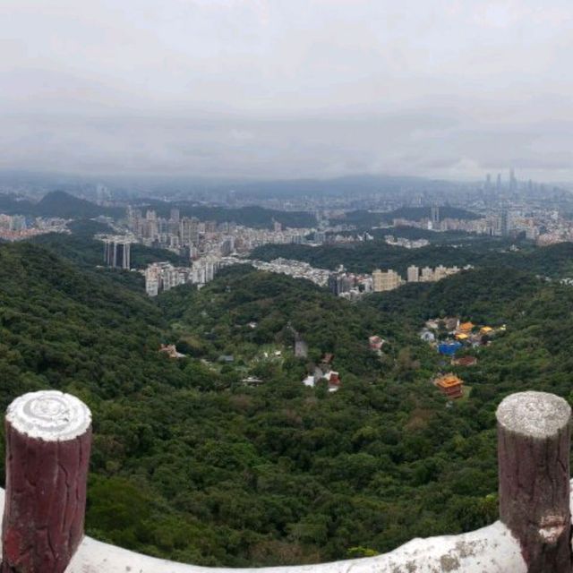 滿滿芬多精【台北內湖】鯉魚山一日遊