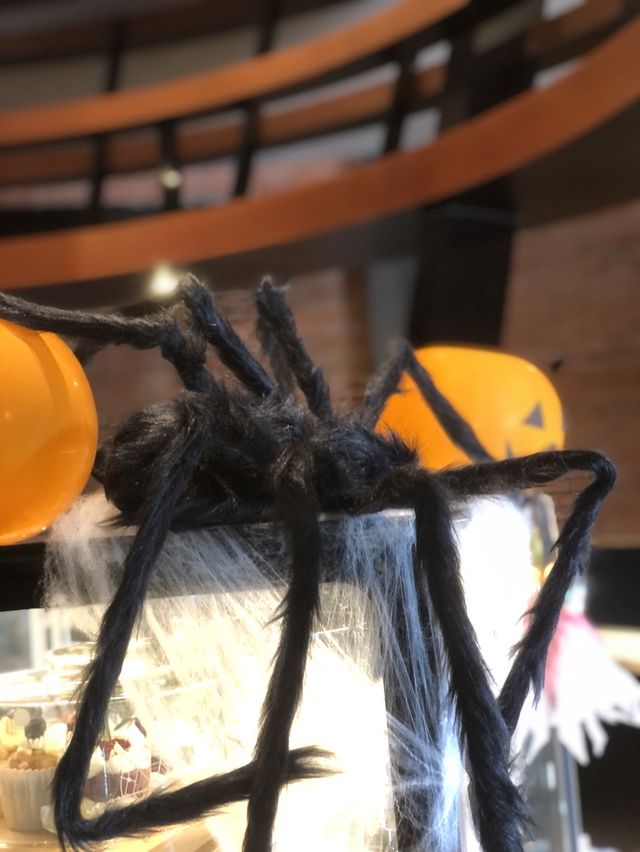 ฮาโลวีนนี้ผีไม่มัวกันที่บุรีรัมย์🤣