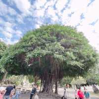 彰化御花園-萬景藝苑
