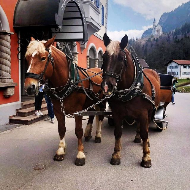 The 19th century Neuschwanstein Castle