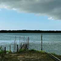 Sarawak, a great nature!