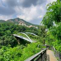 서대문의 새로운 명소