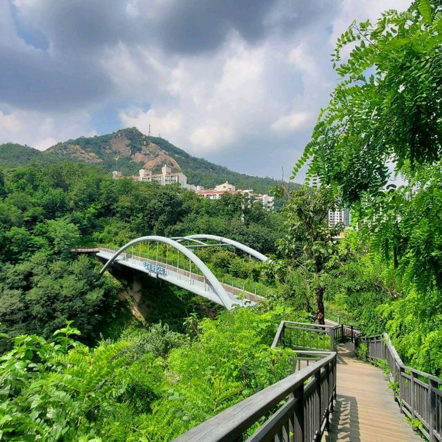 서대문의 새로운 명소