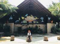 Palawan Amphitheatre @ Animal encounters 