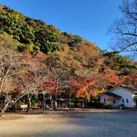 日本最古的修行地之一｜瀧安寺