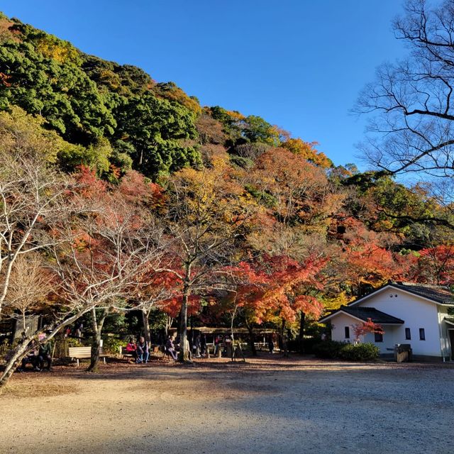 日本最古的修行地之一｜瀧安寺