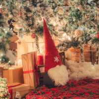 크리스마스 포토존이 한가득인 카페 원주 사진정원🎄🎅🏻