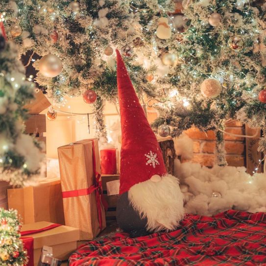 크리스마스 포토존이 한가득인 카페 원주 사진정원🎄🎅🏻