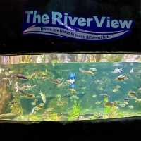 Sea World Ancol