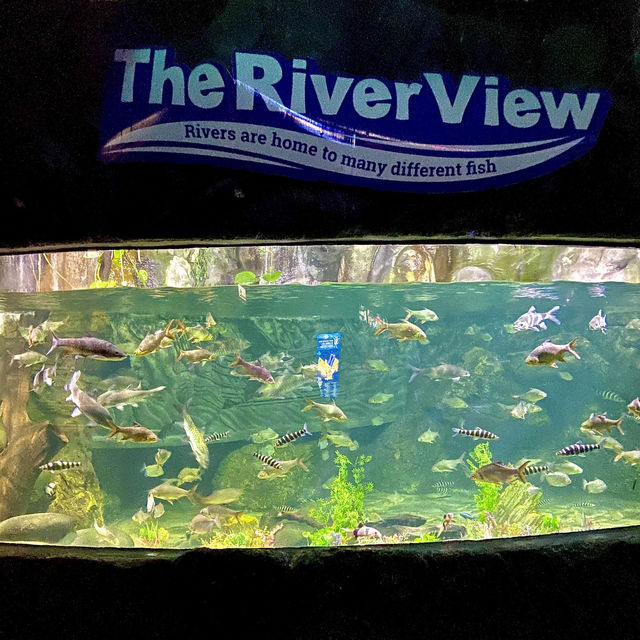 Sea World Ancol