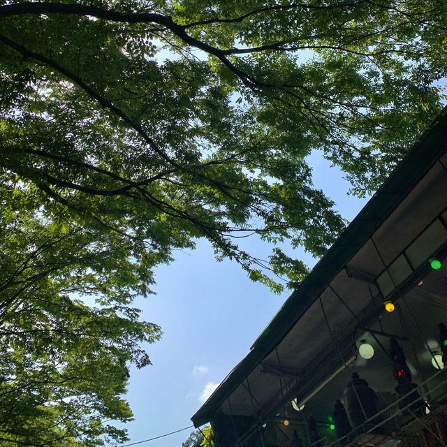 시원한 계곡이 있는 <계룡산> 시원한 계곡이 있는 <계룡산>
