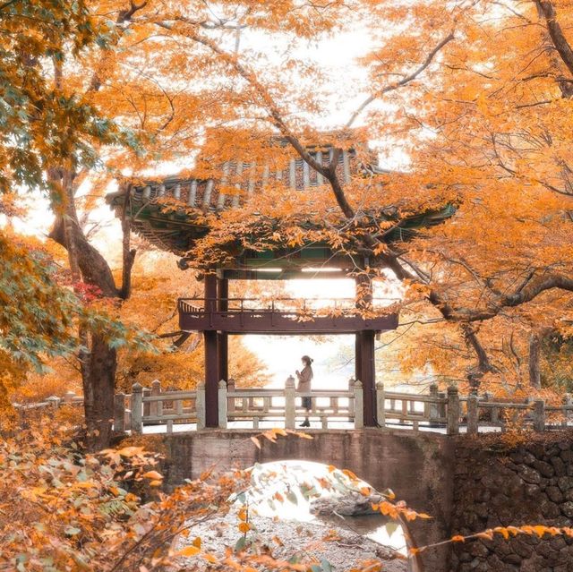 전라도 구례 지리산