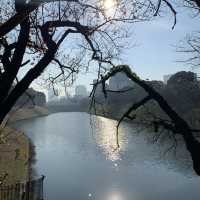 【千代田区】千鳥ヶ淵公園