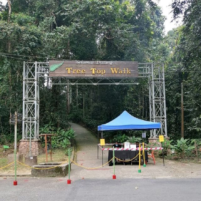 Tree Top Walk Sungai Sedim Kedah 🇲🇾