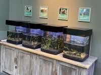 岐阜県•各務原市🐠世界最大級の淡水魚水族館【アクアトト岐阜】