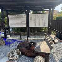 【沖縄･本島】掘り出し物もアリ‼️個性豊かな陶芸たち