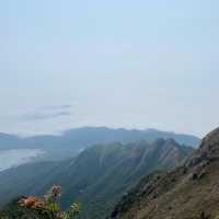 征服香港第二高山峰⛰️-鳳凰山