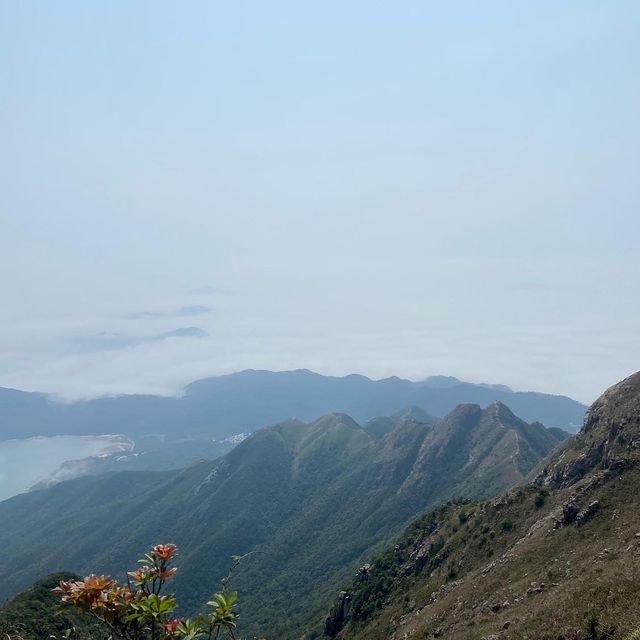 征服香港第二高山峰⛰️-鳳凰山