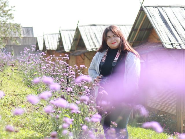 ดอกไม้บานบนดอยสูง