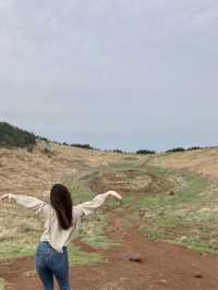 제주 오름 중 금오름~!