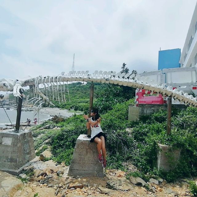 想和您妳你去放放空