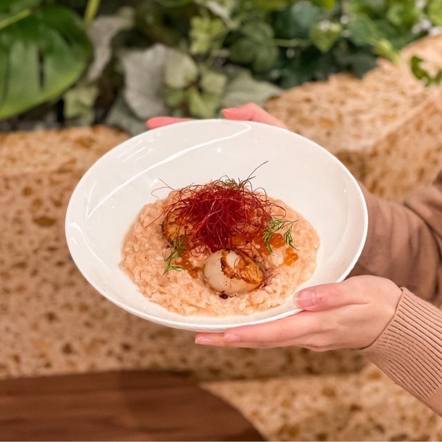 尖沙咀⋄ 全新日式和洋食店
