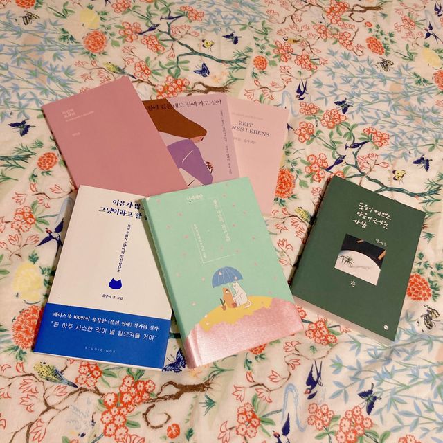 제주 감성 1인 숙소 “굿나잇 플리즈”