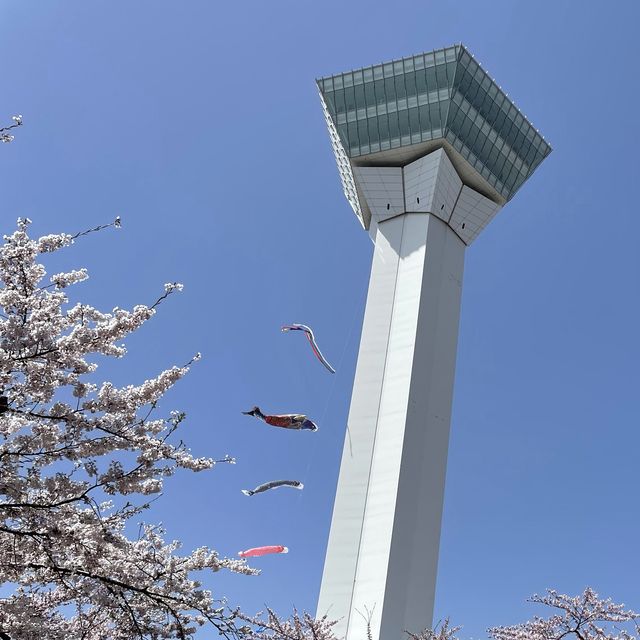 北海道　五稜郭タワーと桜