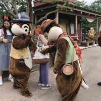 夢幻迪士尼樂園