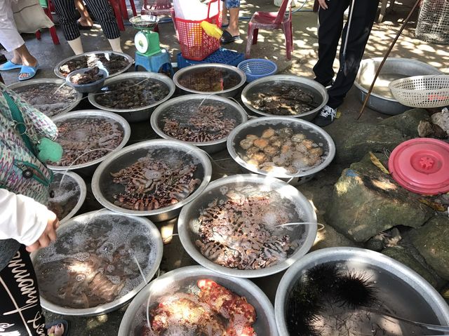 เกาะจาม, ฮอยอัน, เวียดนาม CÙ LAO CHÀM