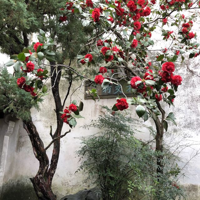 A renowned classical Chinese garden in Suzhou