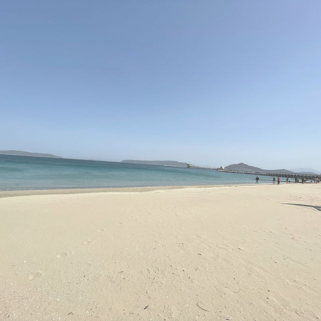 福岡のはずせないおすすめスポット