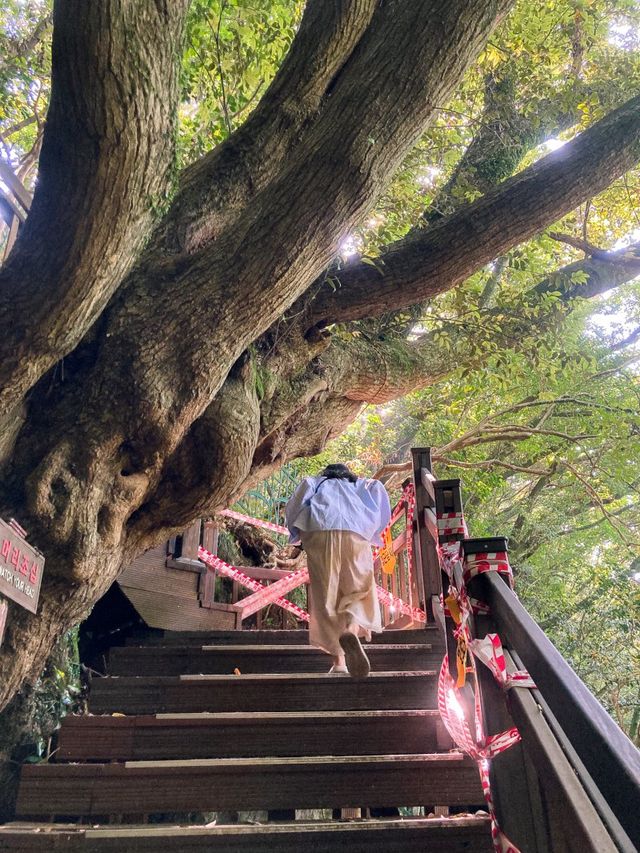 8월 제주 가볼만한곳, 여름 필수 코스💙