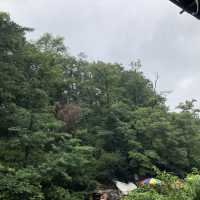 서울 계곡 추천 :진관사 계곡💚