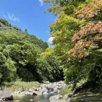 【大分】おんせん県おおいた