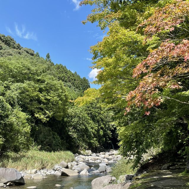 【大分】おんせん県おおいた