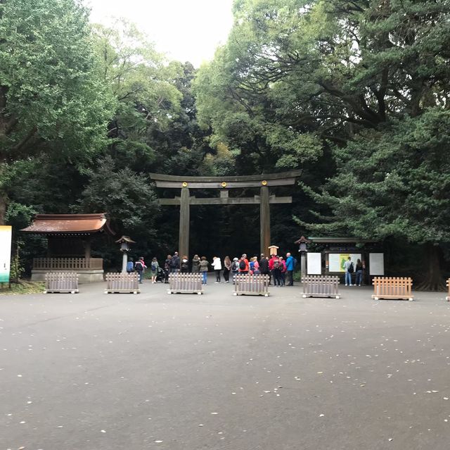 東京裡的聖地神宮⛩遼闊綠地森林一起來淨化心靈吧☺️