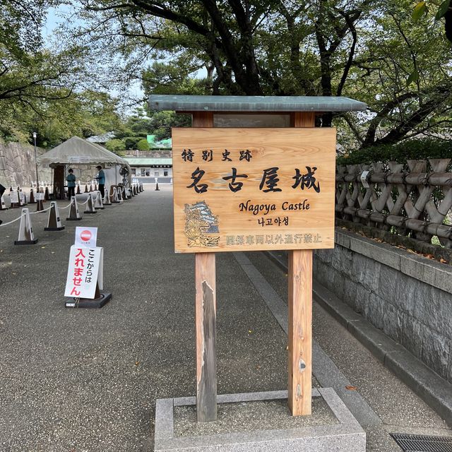 【愛知】名古屋といえばの金の鯱(天守閣)