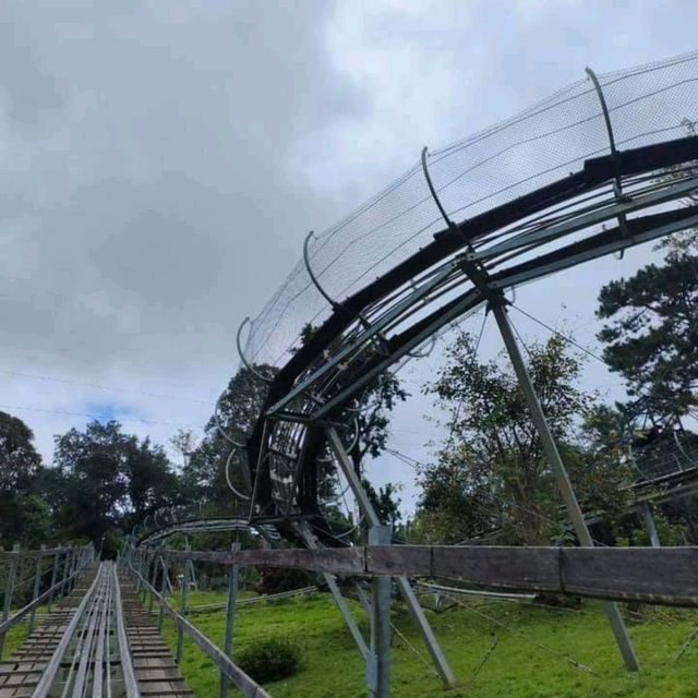 jungle coater 