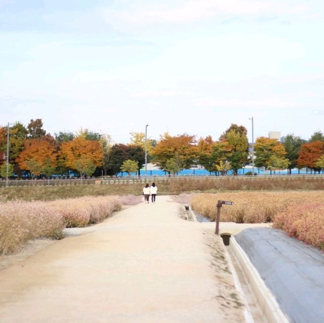 Nari Park Yangju