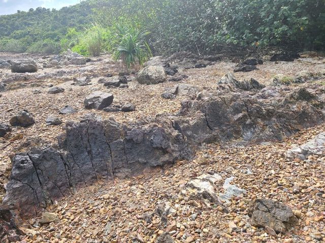 【最古老地質公園~馬屎洲💩】