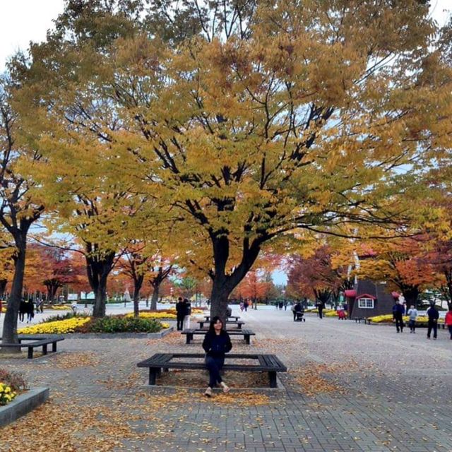 autumn in ilsan