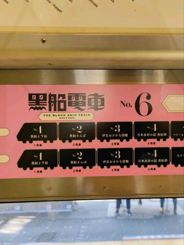 Inmerse yourself in a Seaview train!! 