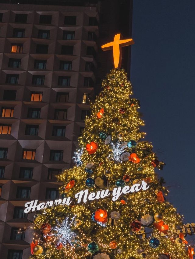 서울시청광장에 설치된 트리🎄