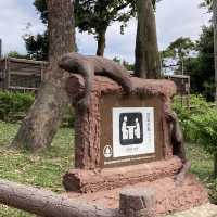 九龍水務文物徑 （金山郊野公園裡面）